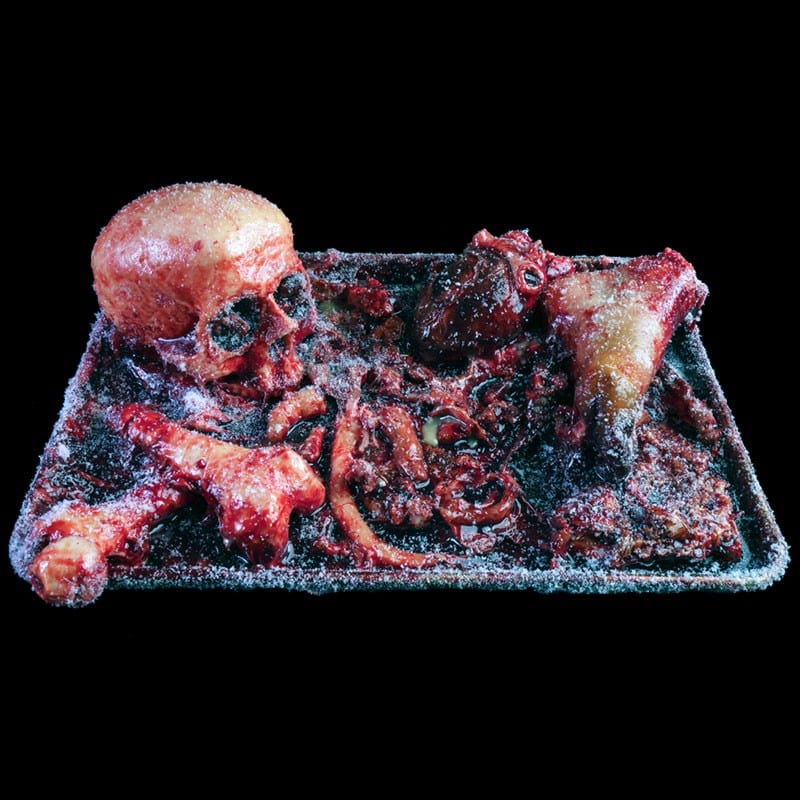 HALF TRAY SKULL – FROZEN