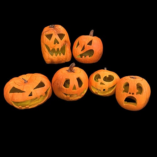 2019 FRESH FOREVER PORCH PUMPKINS