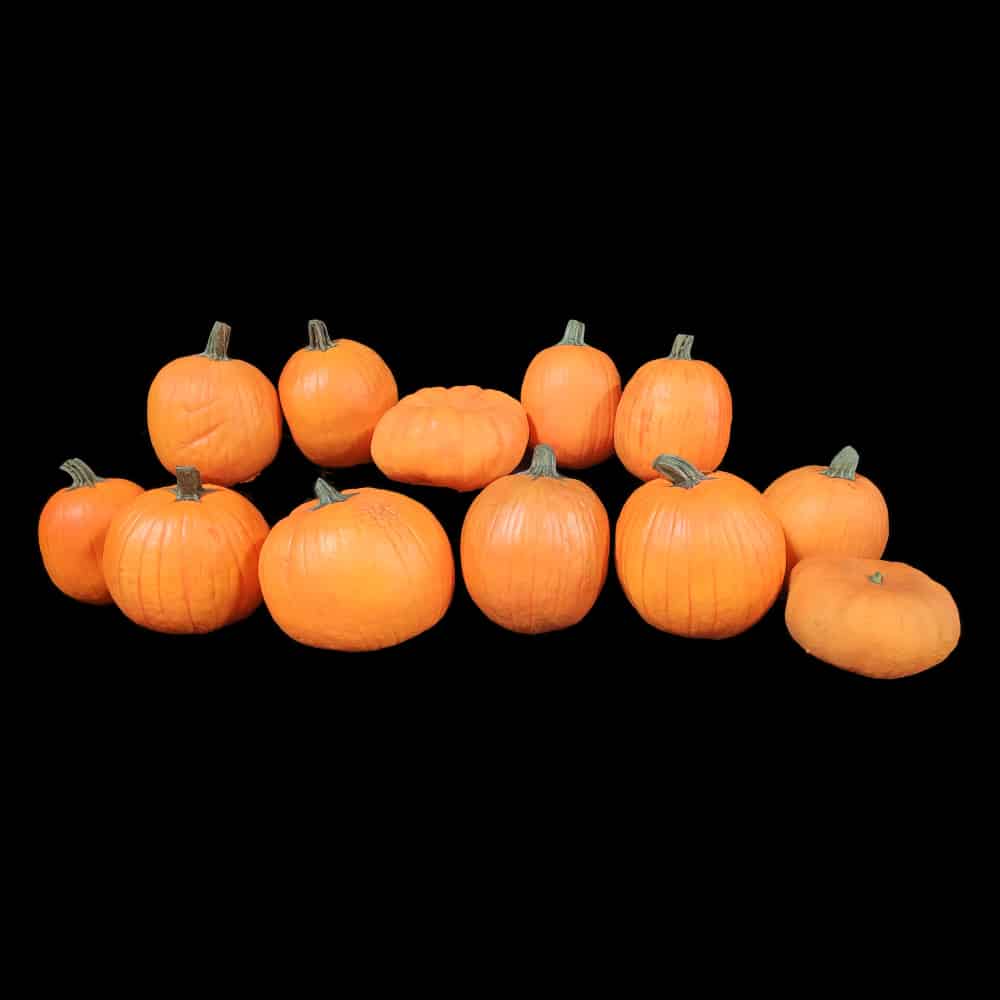 PUMPKINS 2022 SET