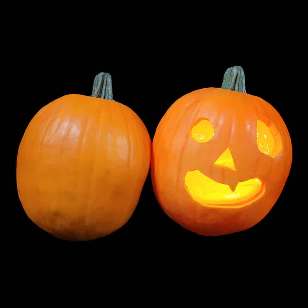 PUMPKINS 2022 SET, фото 2