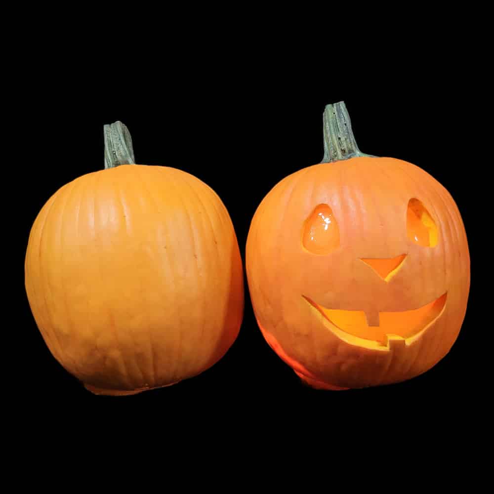 PUMPKINS 2022 SET, фото 3