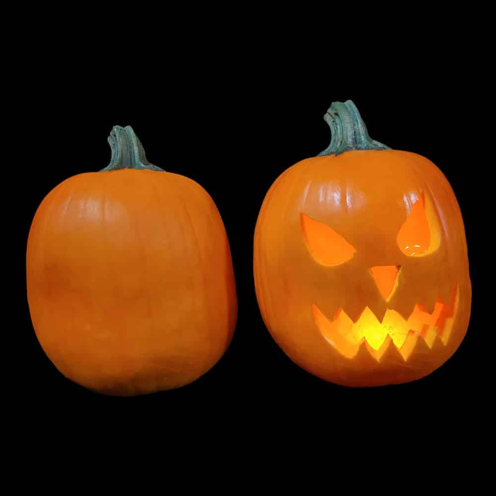 PUMPKINS 2022 SET, фото 4