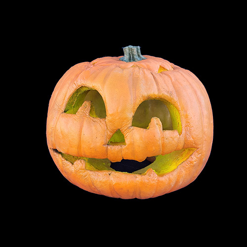 2023 FOREVER PUMPKINS, фото 2
