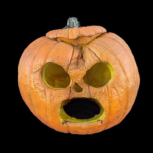 2023 FOREVER PUMPKINS, фото 3