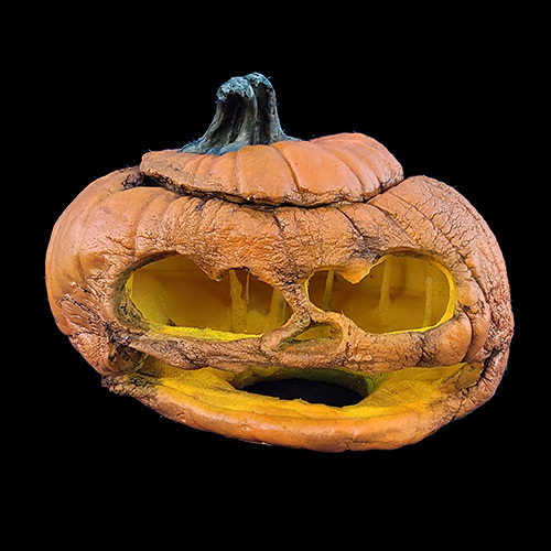 2023 FOREVER PUMPKINS, фото 4