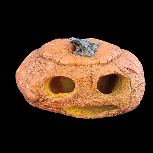 2023 FOREVER PUMPKINS, фото 5