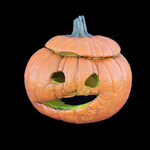 2023 FOREVER PUMPKINS, фото 6