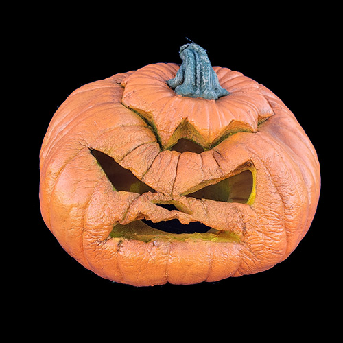 2023 FOREVER PUMPKINS, фото 7