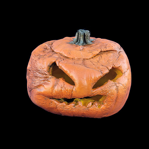 2023 FOREVER PUMPKINS, фото 8