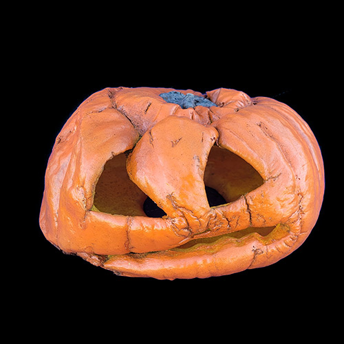 2023 FOREVER PUMPKINS, фото 9