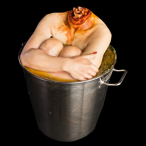 ALEXA POT