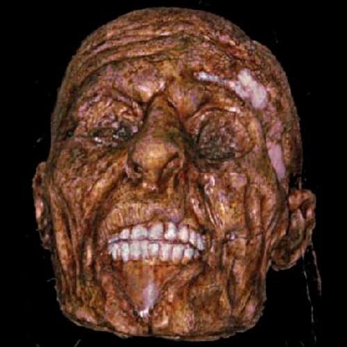 ANNE CORPSE HEAD