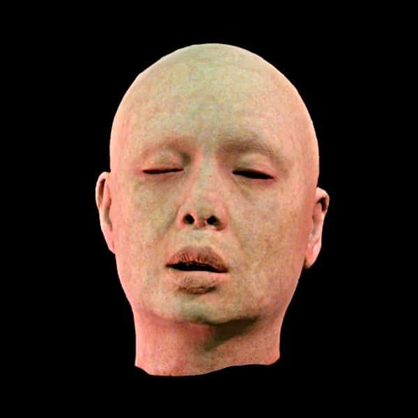 ASIA HEAD-FRESH