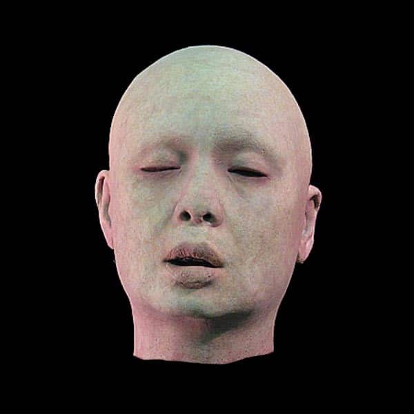 ASIA HEAD-ZOMBIE