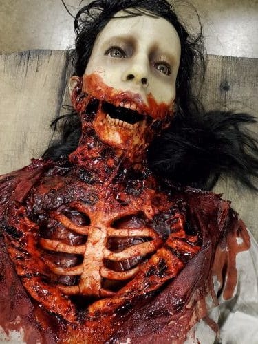 AUTOPSY SLOTH TORTURED BRIDE