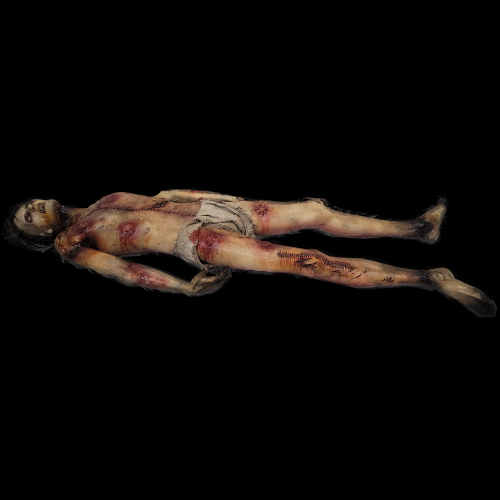 AUTOPSY SLOTH-79″, фото 2