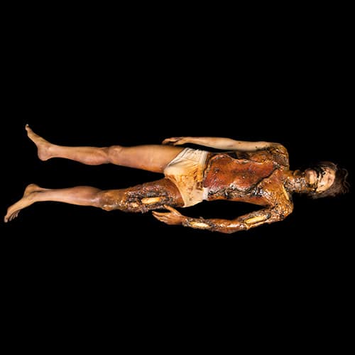 AUTOPSY TREVOR ROT