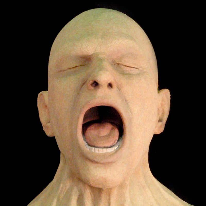 BARF HEAD-FRESH