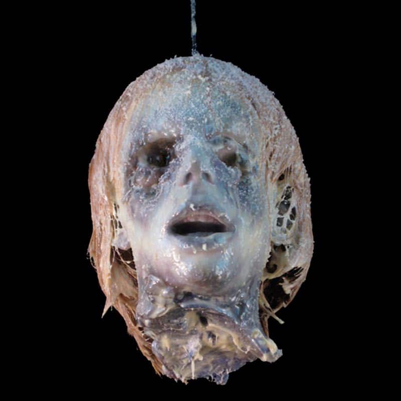 BLIND CABLE HEAD-FROZEN
