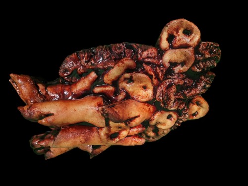 PIG SNOUTS & FEET-BLOODY