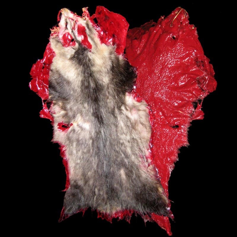 BLOODY POSSUM SKIN
