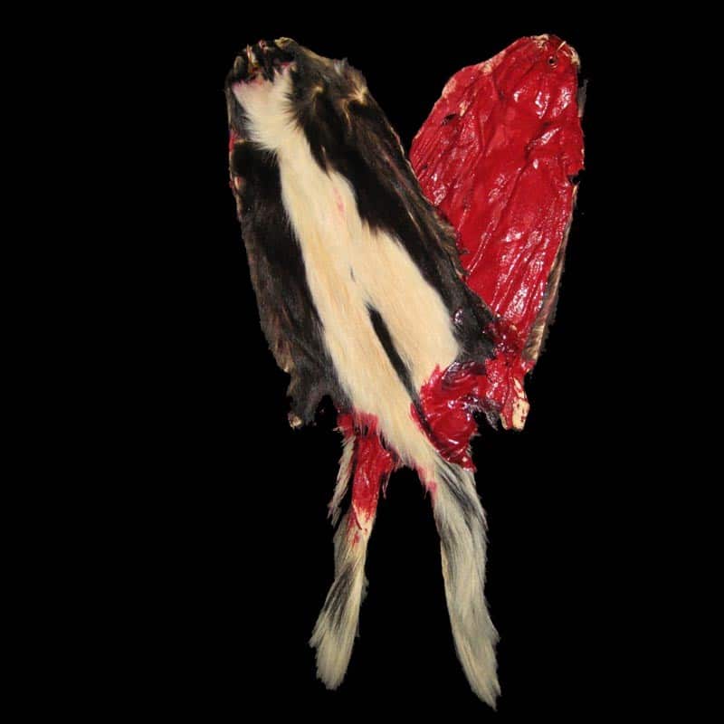 BLOODY SKUNK SKIN