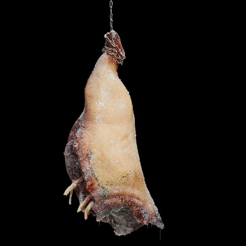 BUTCHERED PIG TORSO, фото 2