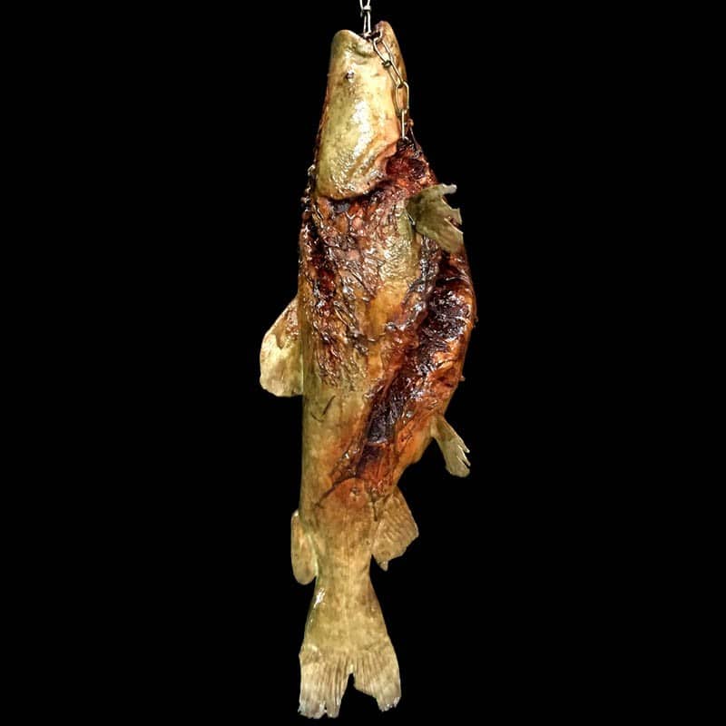 CATFISH CHAIN MOUTH RIB ROT