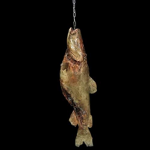 CATFISH HUNG FROM MOUTH WITH CHAIN, ROTTEN