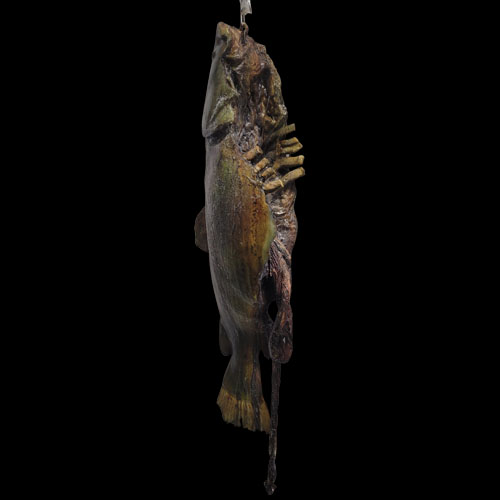 CATFISH RIB ROT GUT