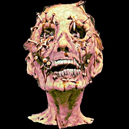 CORPSE KID HEAD-w/HAIR