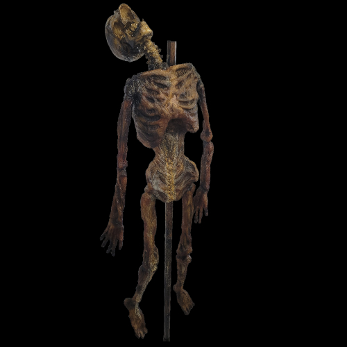 CORPSE PIKED SKULL