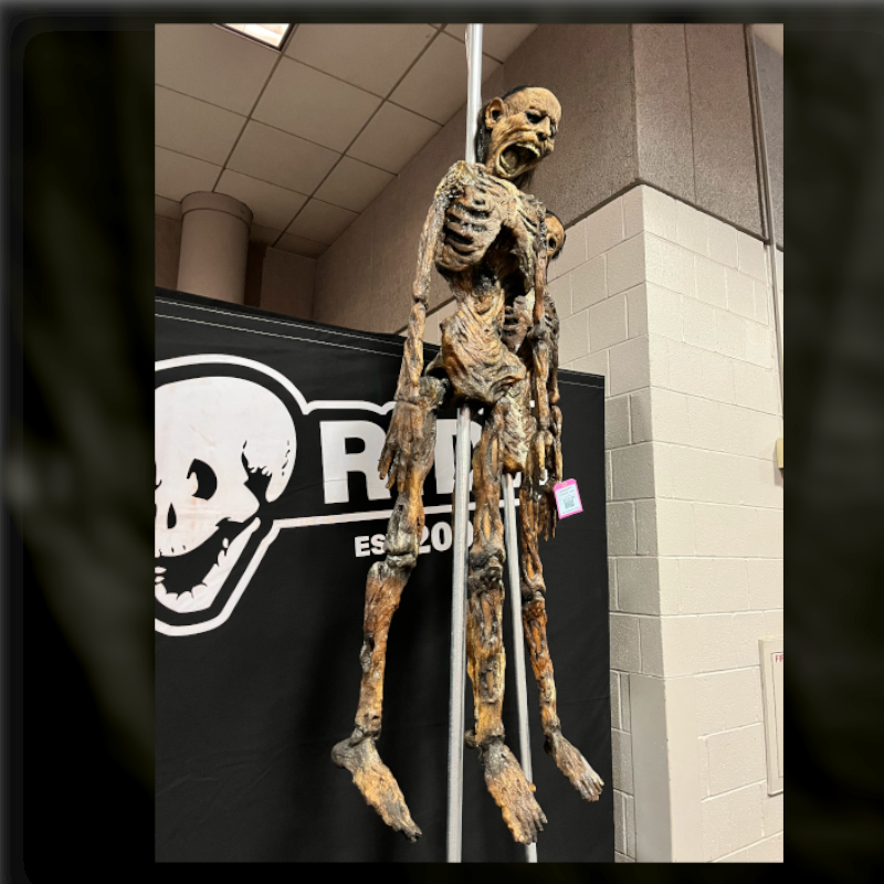 CORPSE PIKED SKULL, фото 5