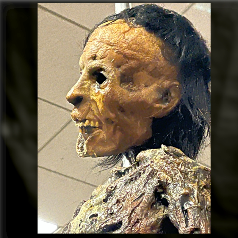 CORPSE PIKED SKULL, фото 6