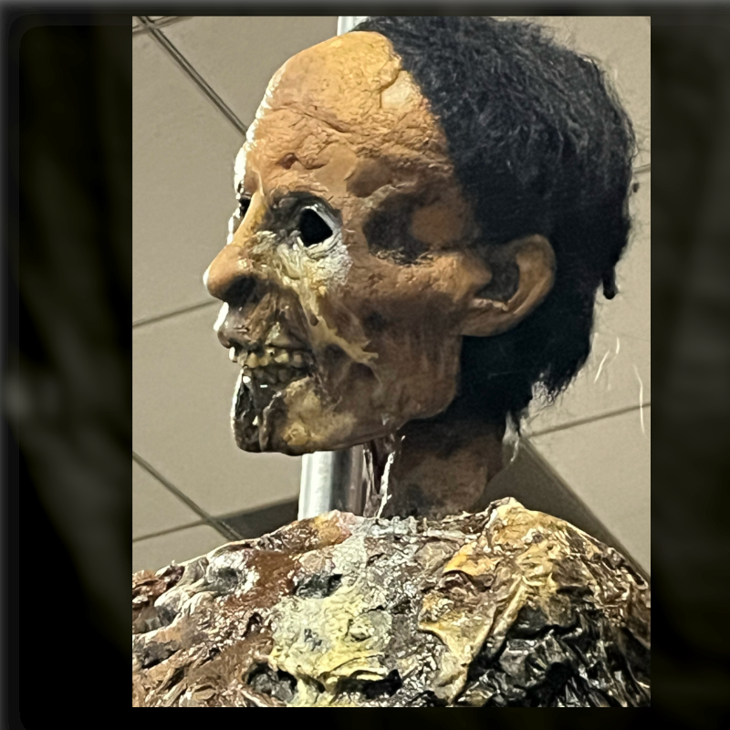CORPSE PIKED SKULL, фото 8