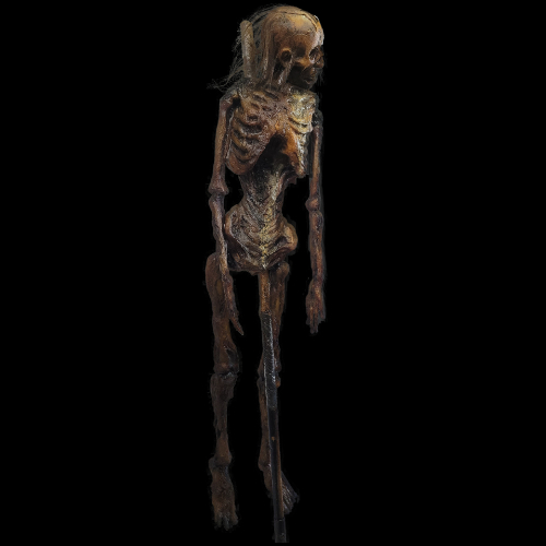 CORPSE PIKED – DRED