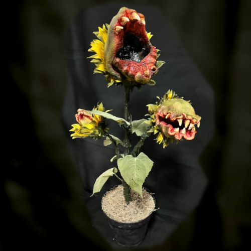 CARNIVOROUS BUSH