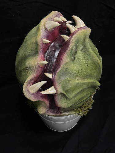 CARNIVOROUS PLANT