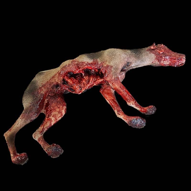 DEAD DOG