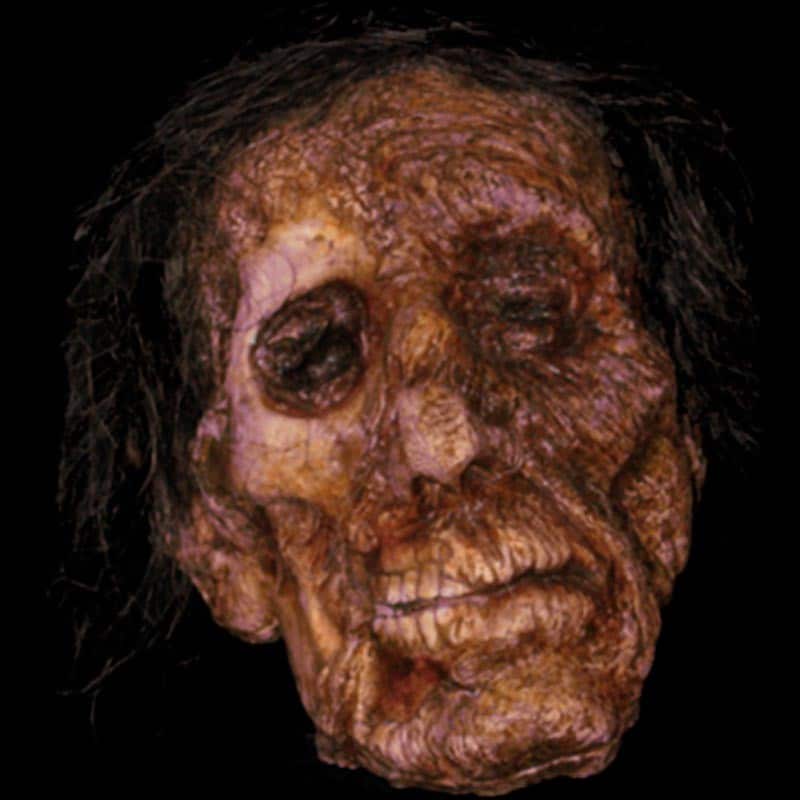 DECAY CORPSE HEAD