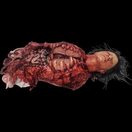 DM CLINCH RIB GUT