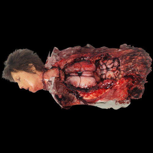 DM HUD GUT