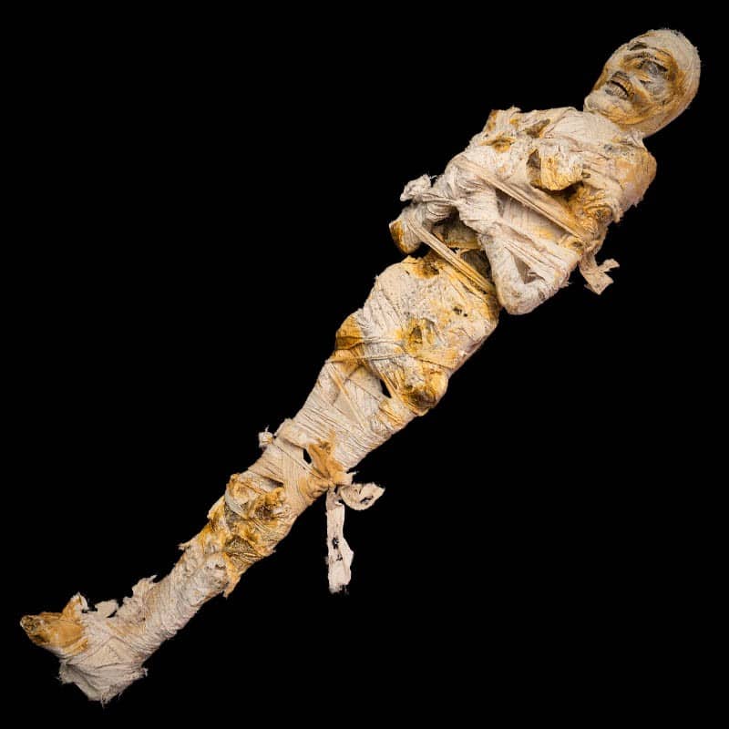 ESCAPE MUMMY – INCLUDES 2 LARGE SCARABS WITH MAGNETIC SWITCH