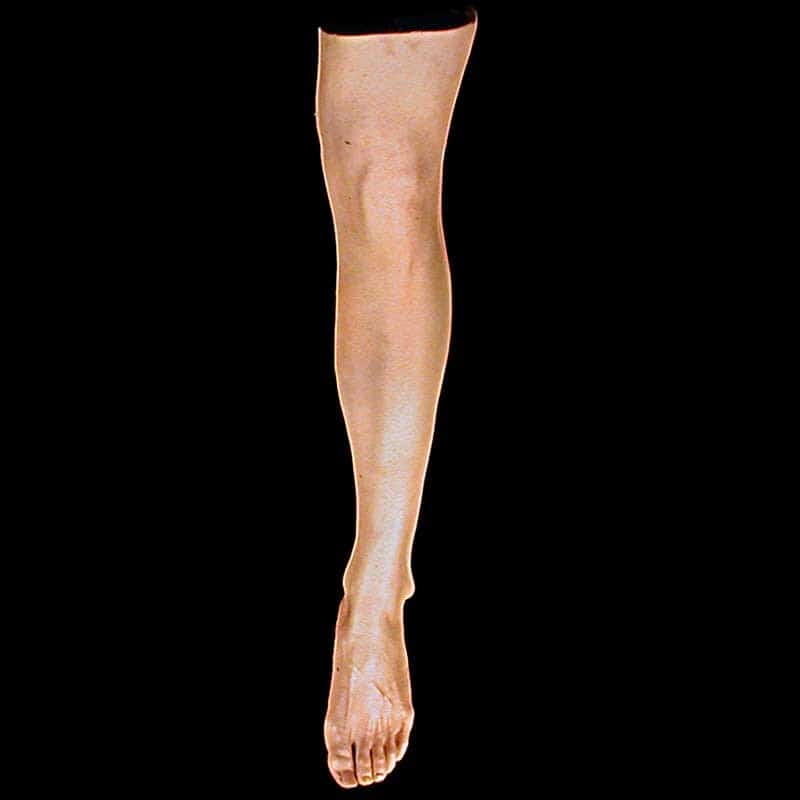 FEMALE LEG-LEFT-FRESH FINISH