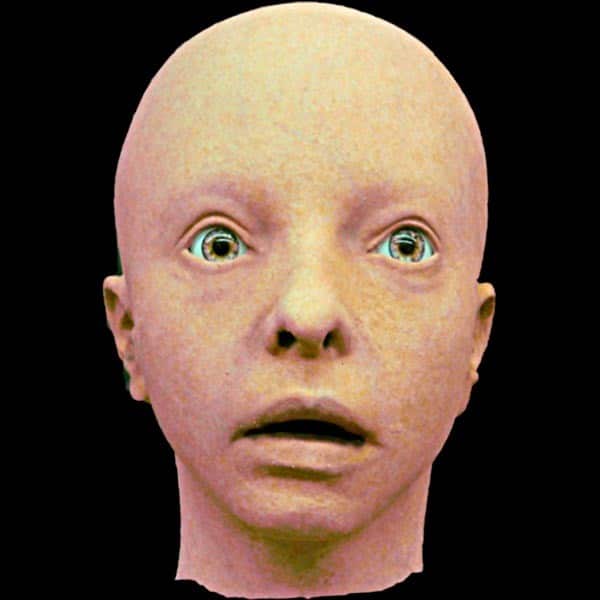 FEMALE OPEN HEAD-FRESH