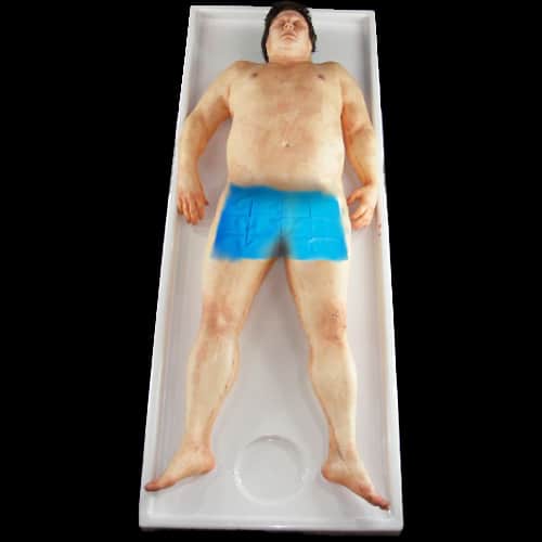 FESTER FLESH