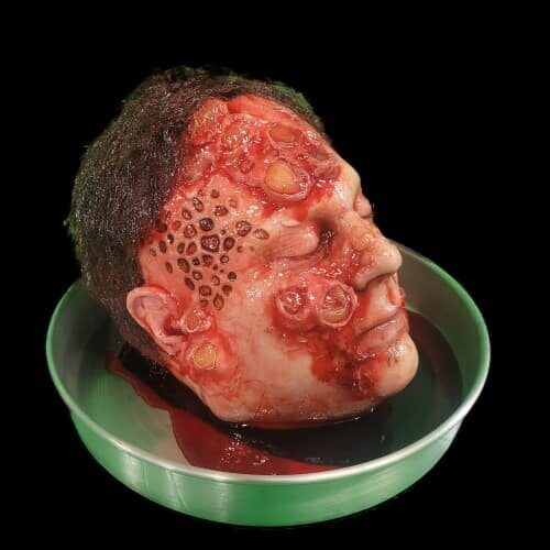 FESTER HEAD ON ROUND TRAY W/ BOILS