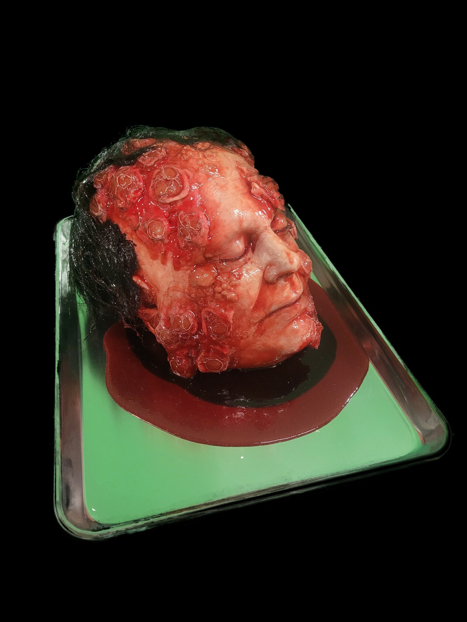 FESTER HEAD ON TRAY W/ BOILS