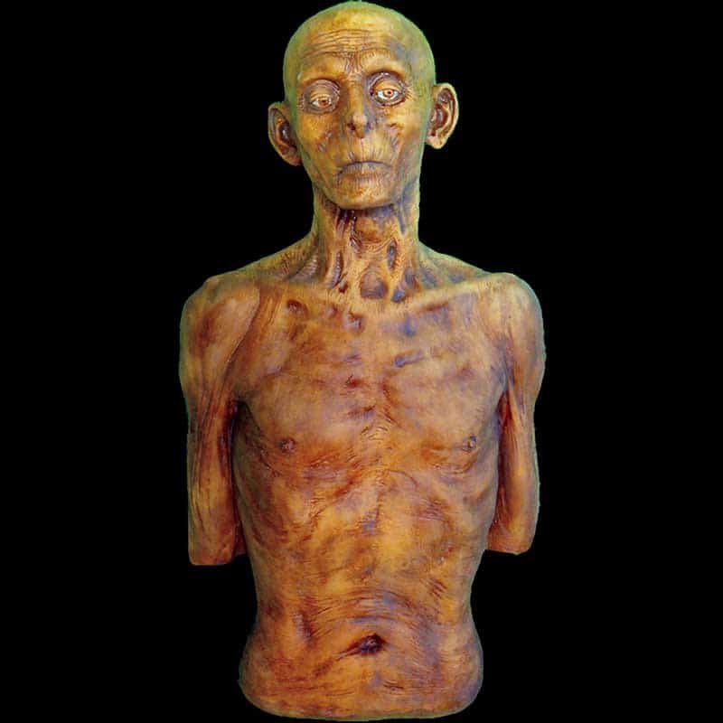 FLAT BACK-DECEASED