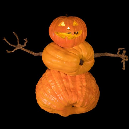 FOREVER PUMPKIN SNOWKIN
